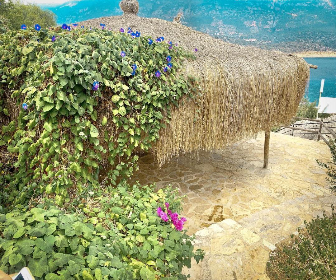 Club Hotel Barbarossa Kaş Luaran gambar