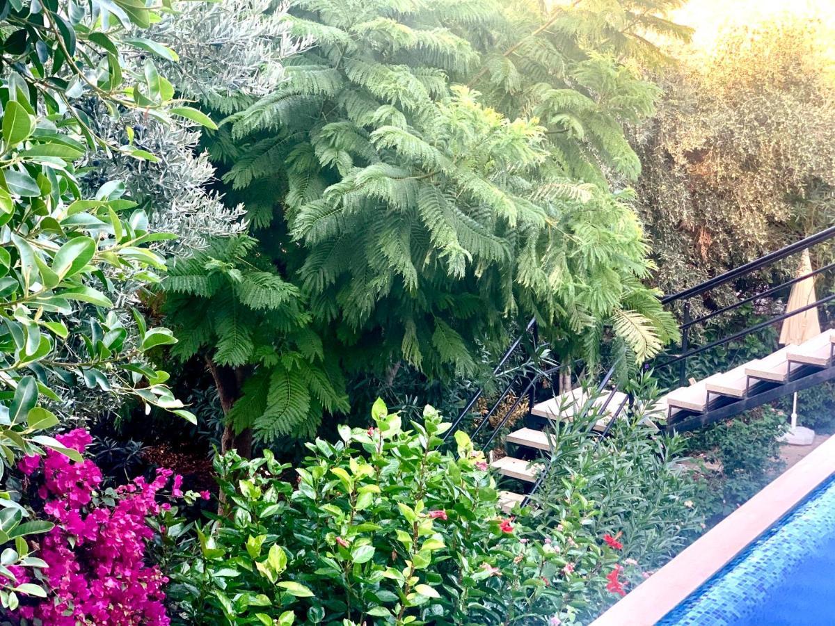 Club Hotel Barbarossa Kaş Luaran gambar