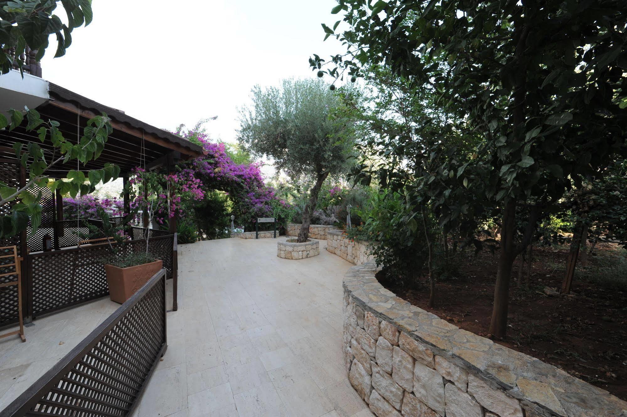 Club Hotel Barbarossa Kaş Luaran gambar