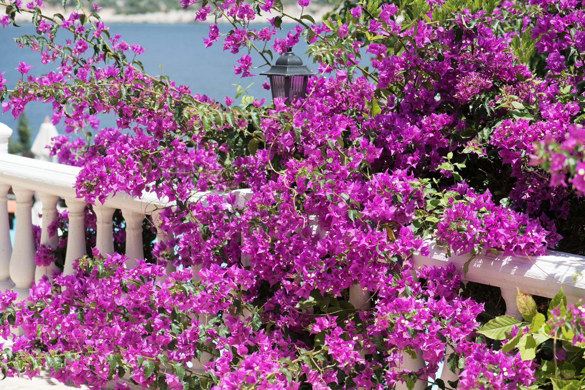 Club Hotel Barbarossa Kaş Luaran gambar